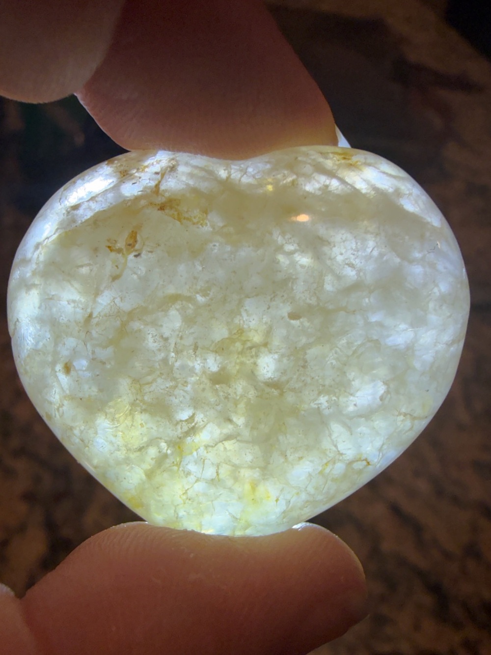 One Golden Healer Heart